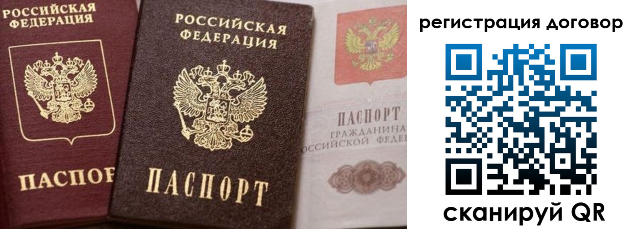 прописка 2025 в Подольске